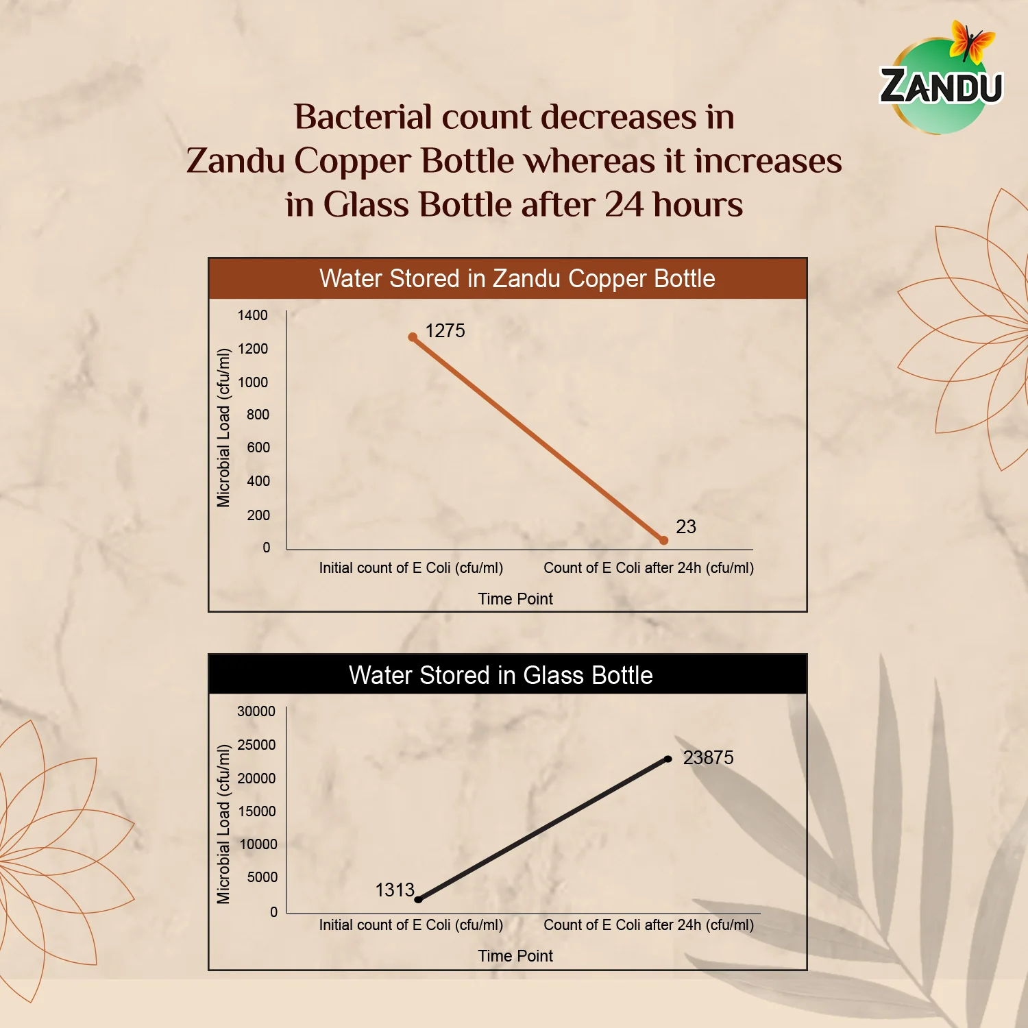 Zandu Copper Water Bottle - Image 6