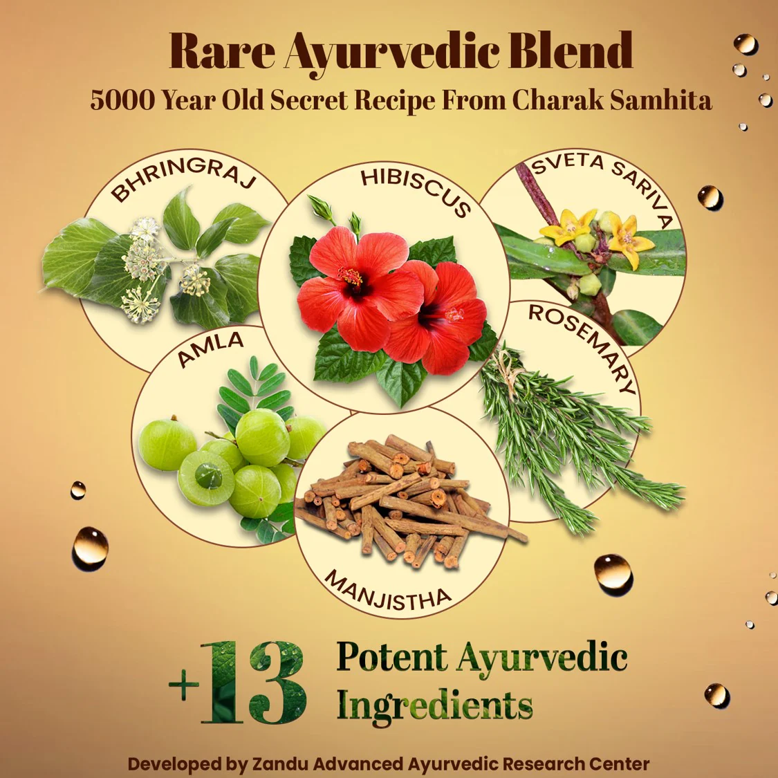 Zandu Hair Growth Serum - Image 6