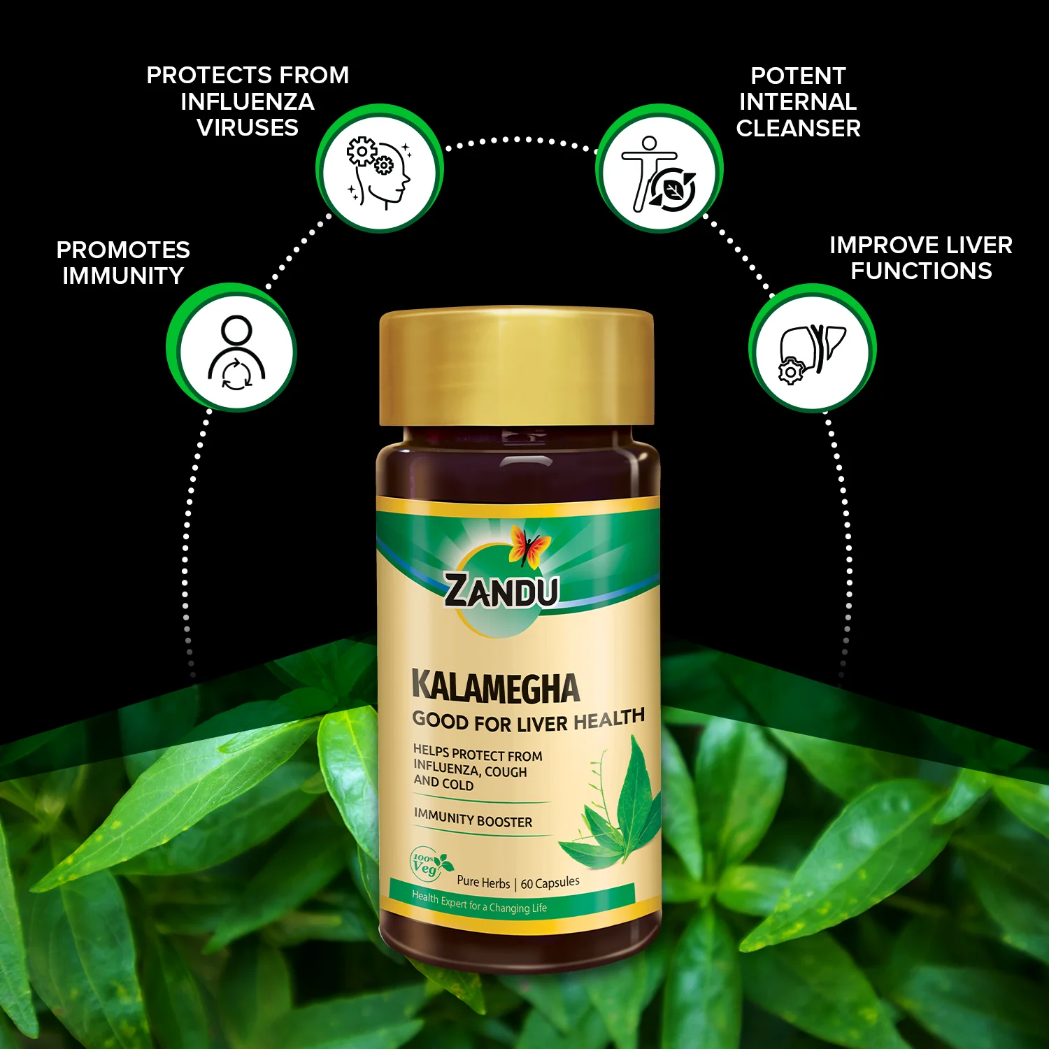 Zandu Pure Kalamegha Capsules - Image 3