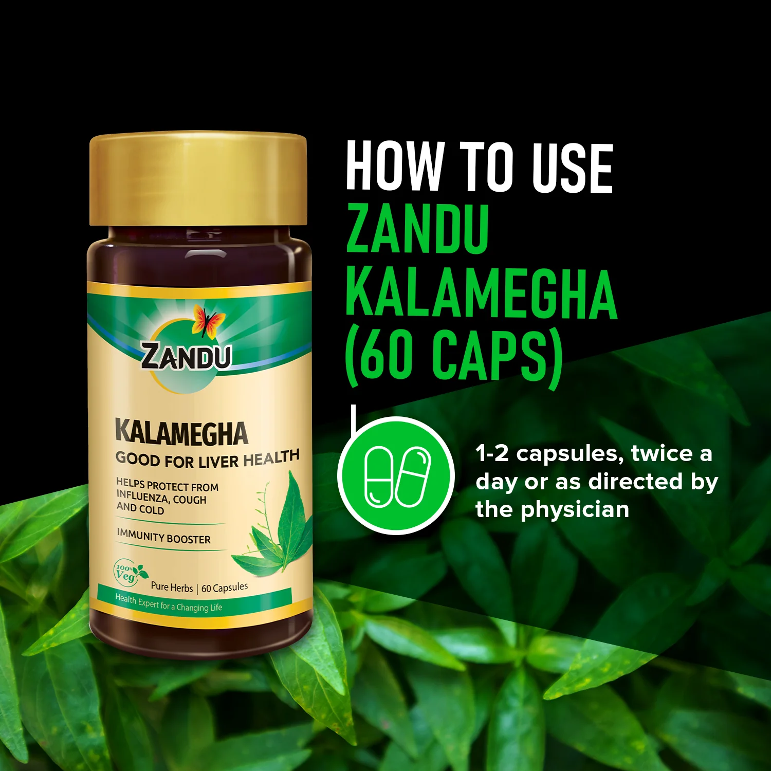 Zandu Pure Kalamegha Capsules - Image 5