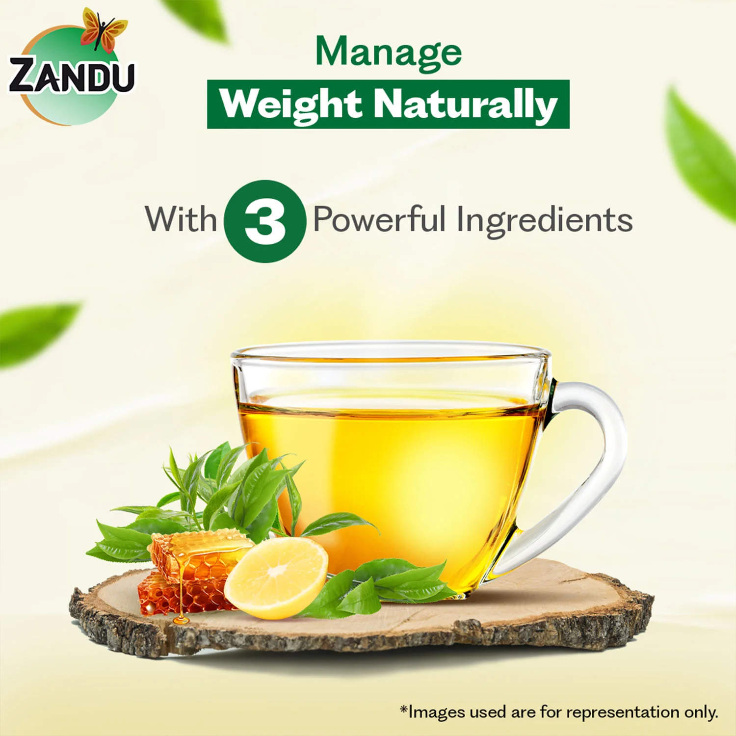 Zandu Lemon Honey Green Tea - Image 4