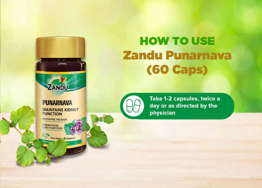 Zandu Punarnava Pure Extract - Image 3
