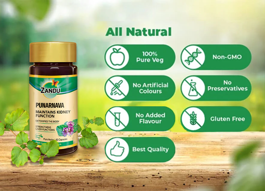 Zandu Punarnava Pure Extract - Image 4