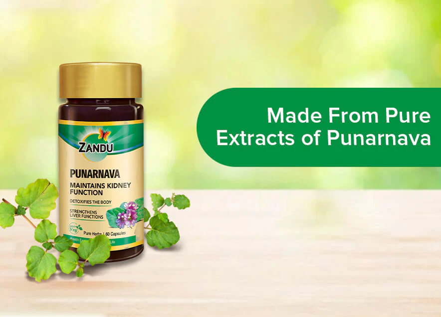 Zandu Punarnava Pure Extract - Image 5