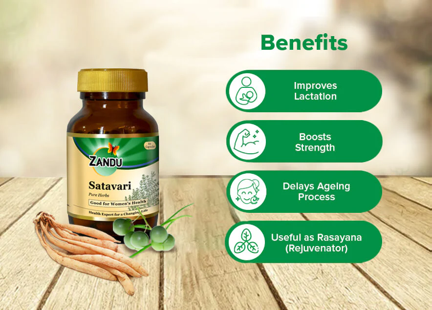 Zandu Satavari Lactation Capsules - Image 4