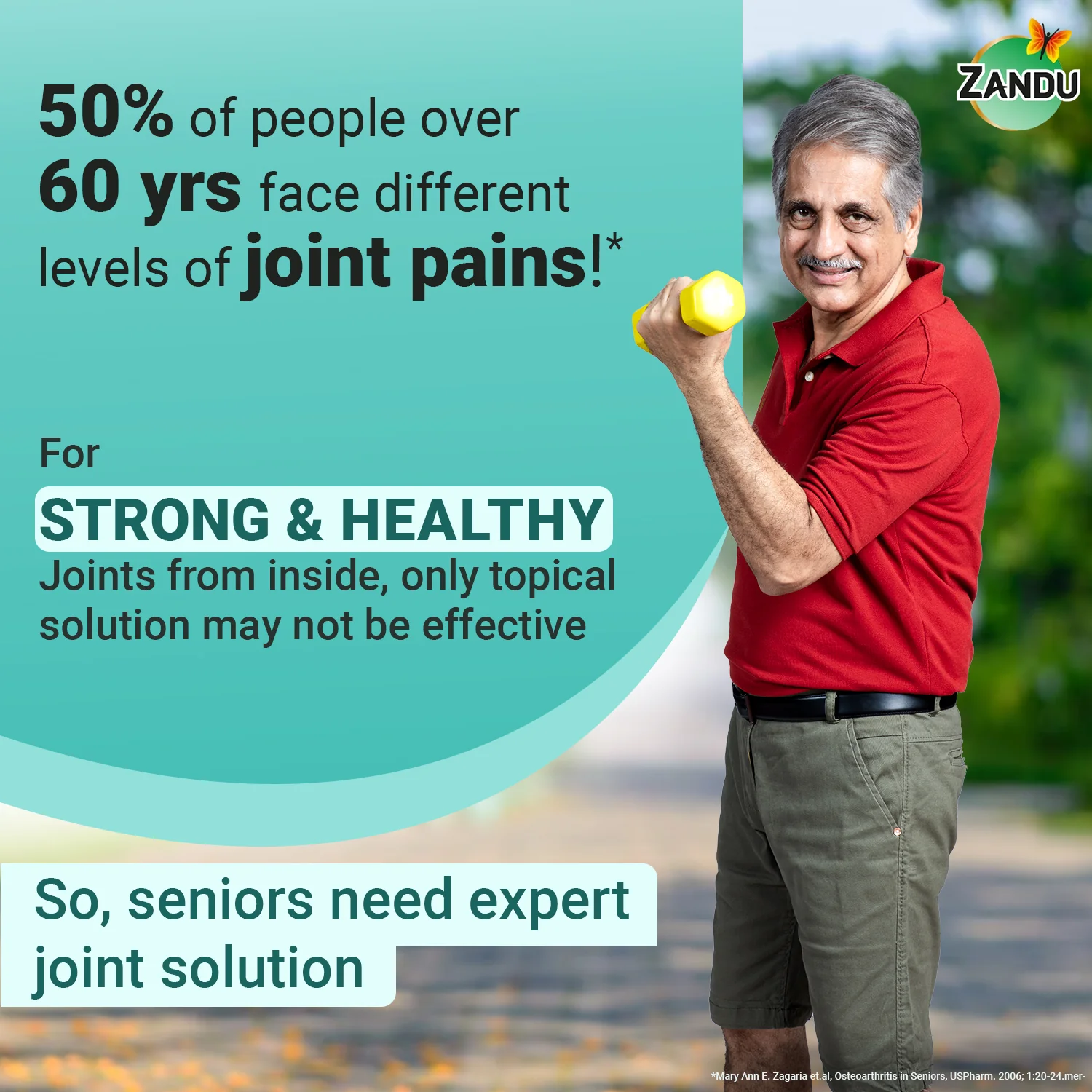 Zandu Seniorz Complete Joint Expert Tablets - Image 2