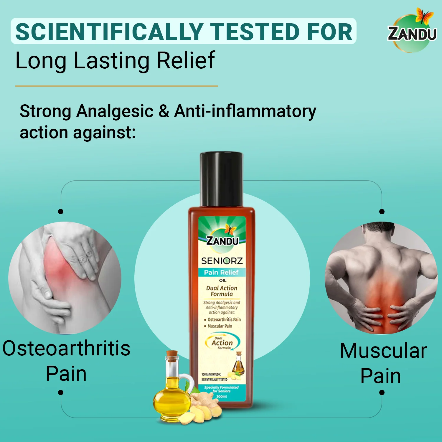 Zandu Seniorz Pain Relief Oil - Image 4