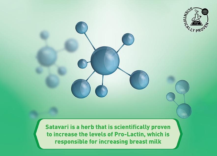 Zandu StriVeda Satavari Lactation Powder - Image 8