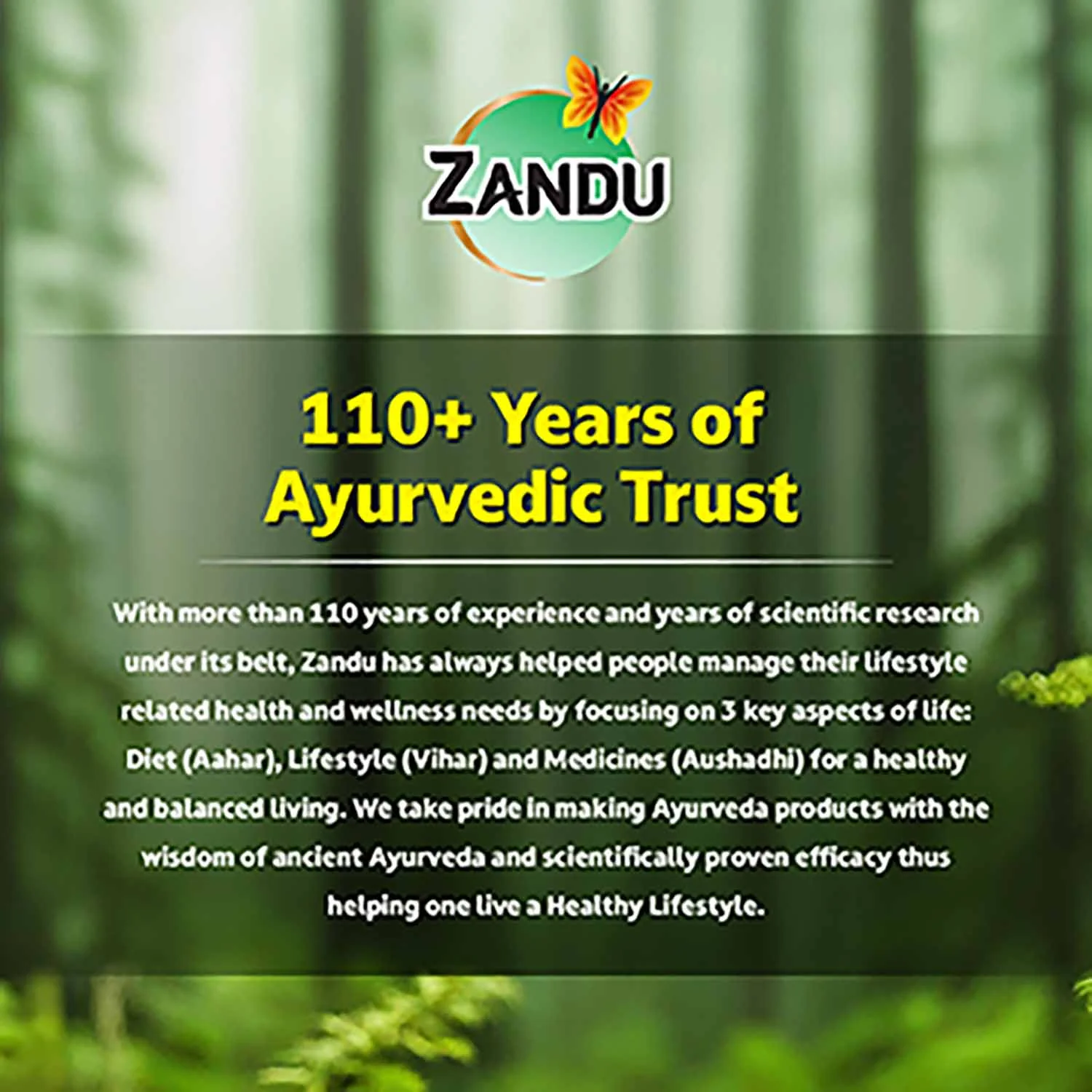 Zandu Chyavanprash Avaleha for Immunity, Strength, Stamina & Vitality - Image 5