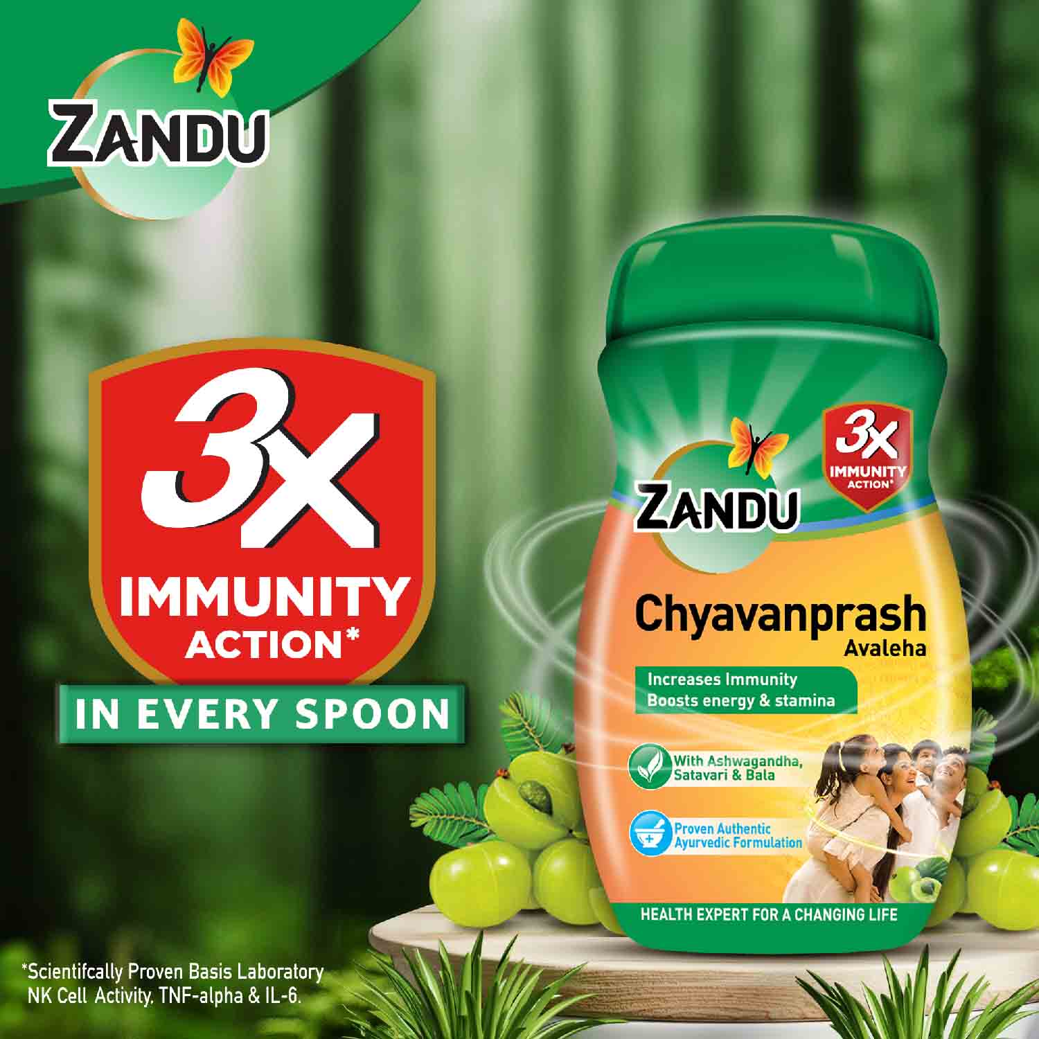 Zandu Chyavanprash Avaleha for Immunity, Strength, Stamina & Vitality - Image 7