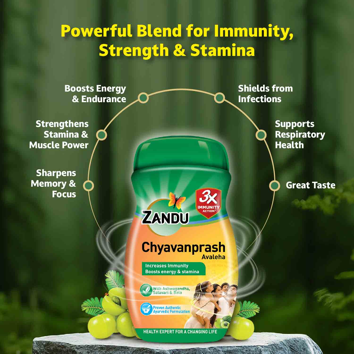 Zandu Chyavanprash Avaleha for Immunity, Strength, Stamina & Vitality - Image 8