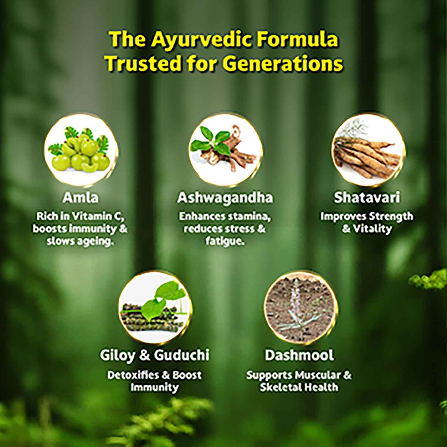 Zandu Chyavanprash Avaleha for Immunity, Strength, Stamina & Vitality - Image 9