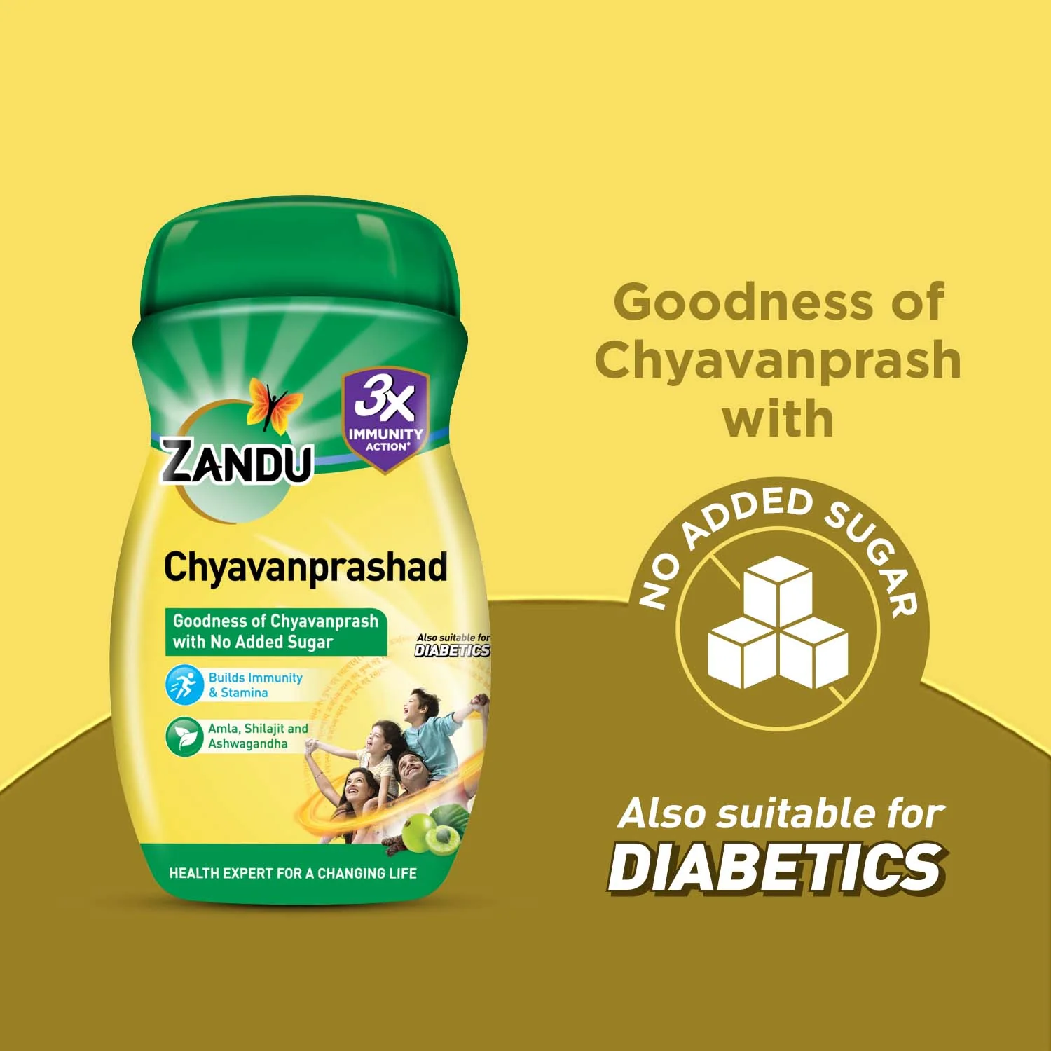 Zandu Chyavanprashad | Sugar Free Chyavanprash for Immunity & Stamina - Image 3