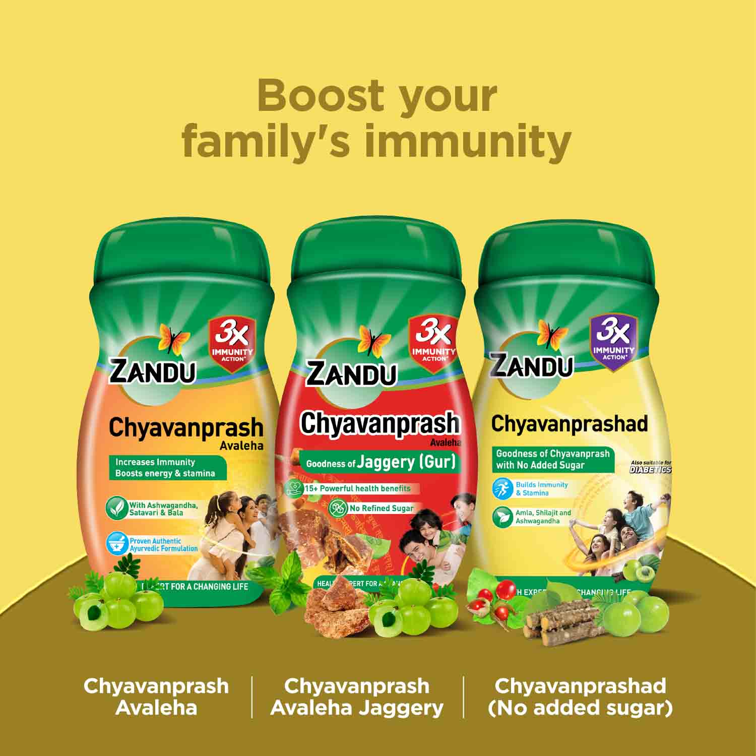 Zandu Chyavanprashad | Sugar Free Chyavanprash for Immunity & Stamina - Image 5