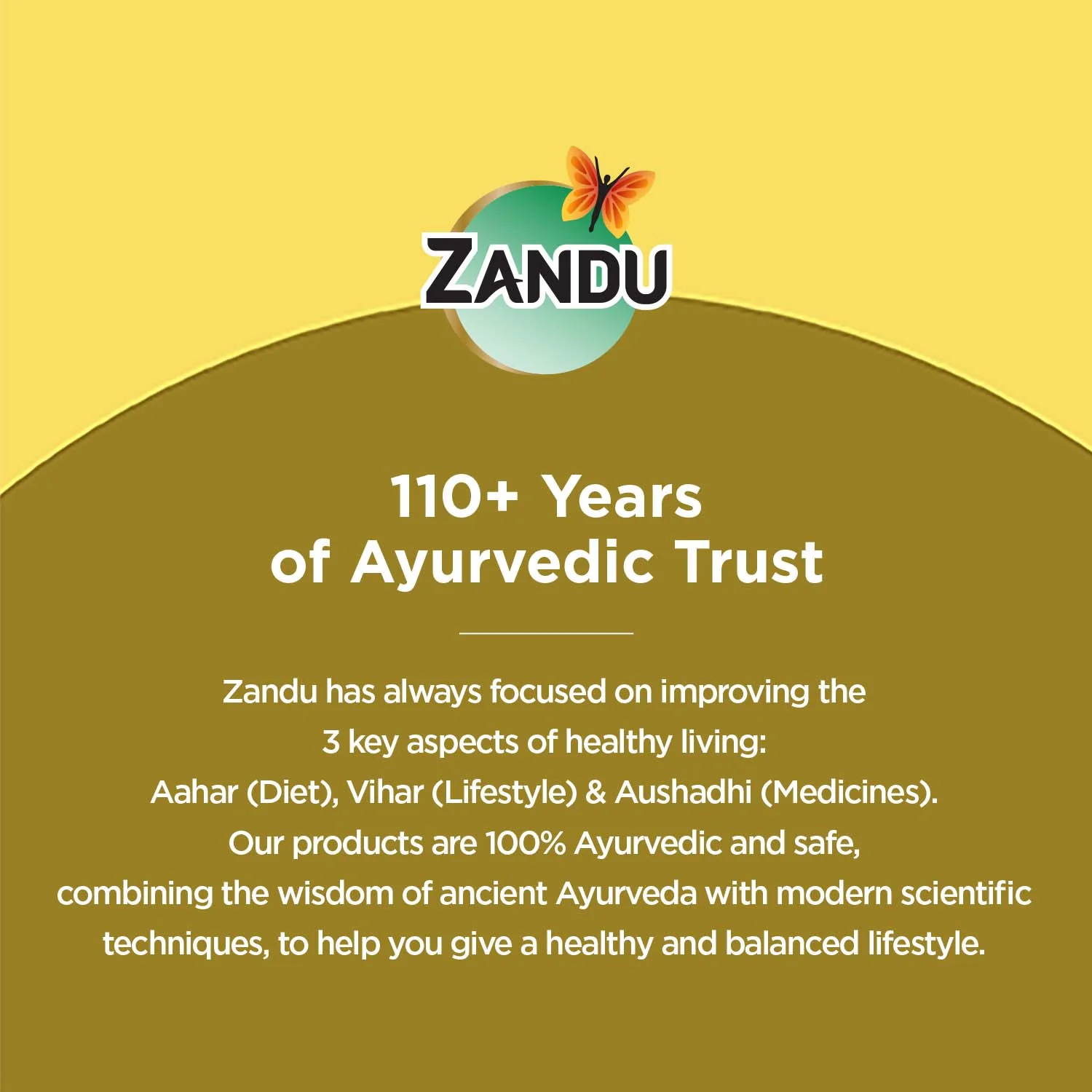 Zandu Chyavanprashad | Sugar Free Chyavanprash for Immunity & Stamina - Image 6