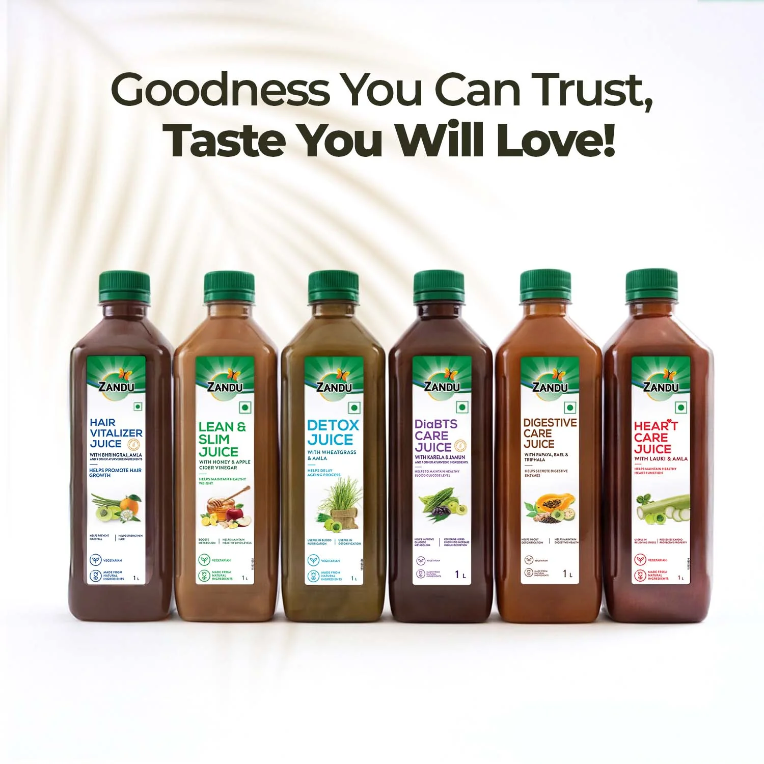 Zandu Full Body Detox Juice (Wheatgrass & Amla) - Image 9