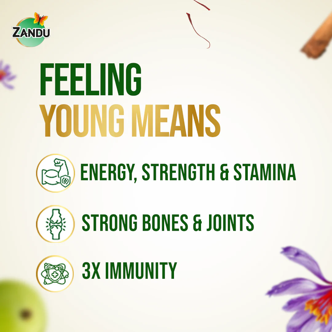 Zandu Anti-AGEs action Dirghayuprash (Suitable for Diabetics) - Image 5
