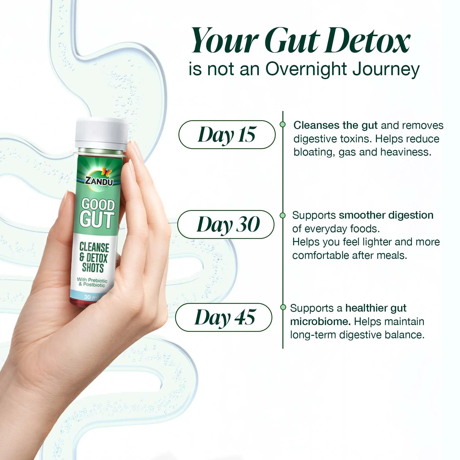 Zandu Good Gut Cleanse & Detox Shots - Image 4
