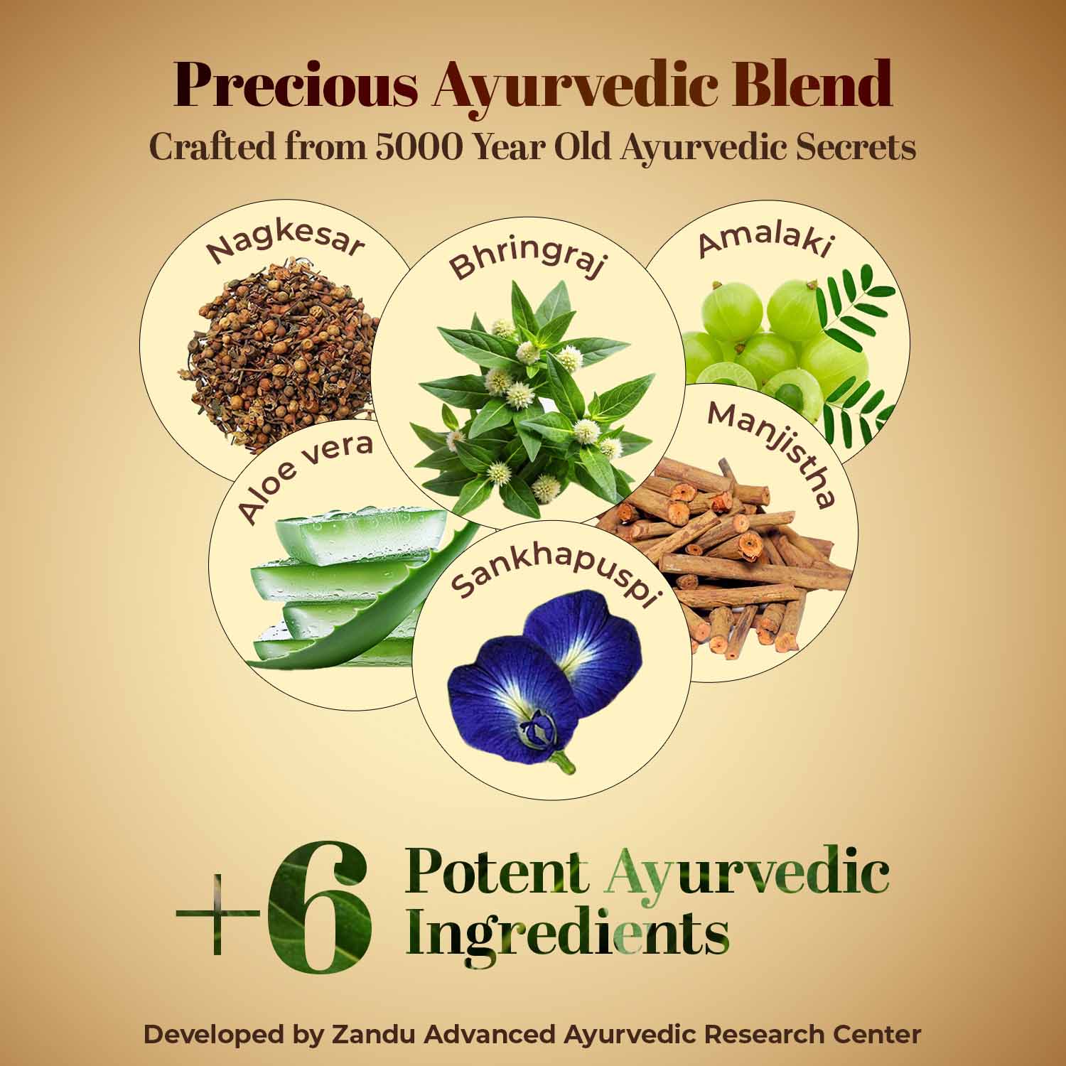 Zandu Ayurvedic Hair Growth Capsule - Image 4