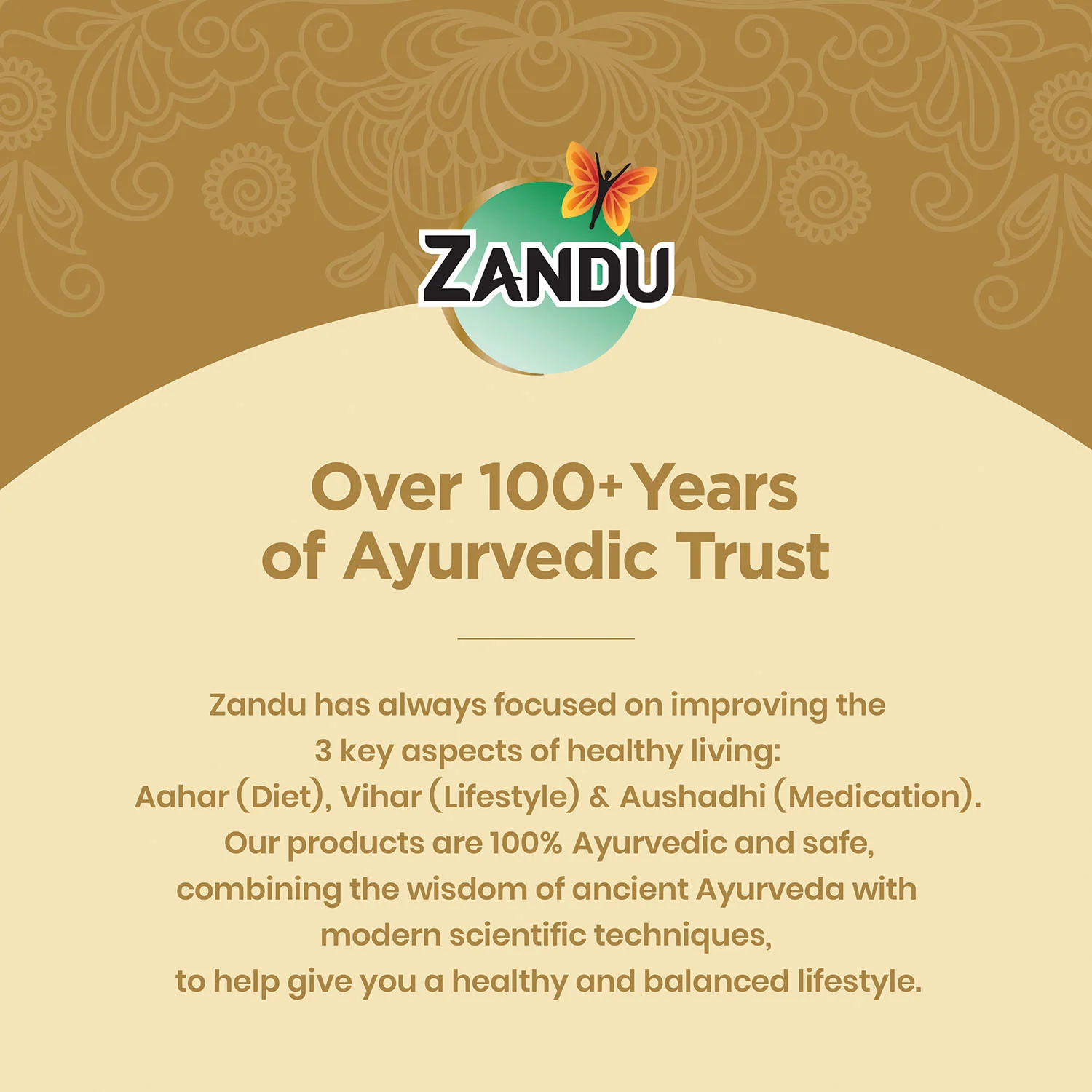 Zandu Kesari Jivan Dry Fruits - Image 5