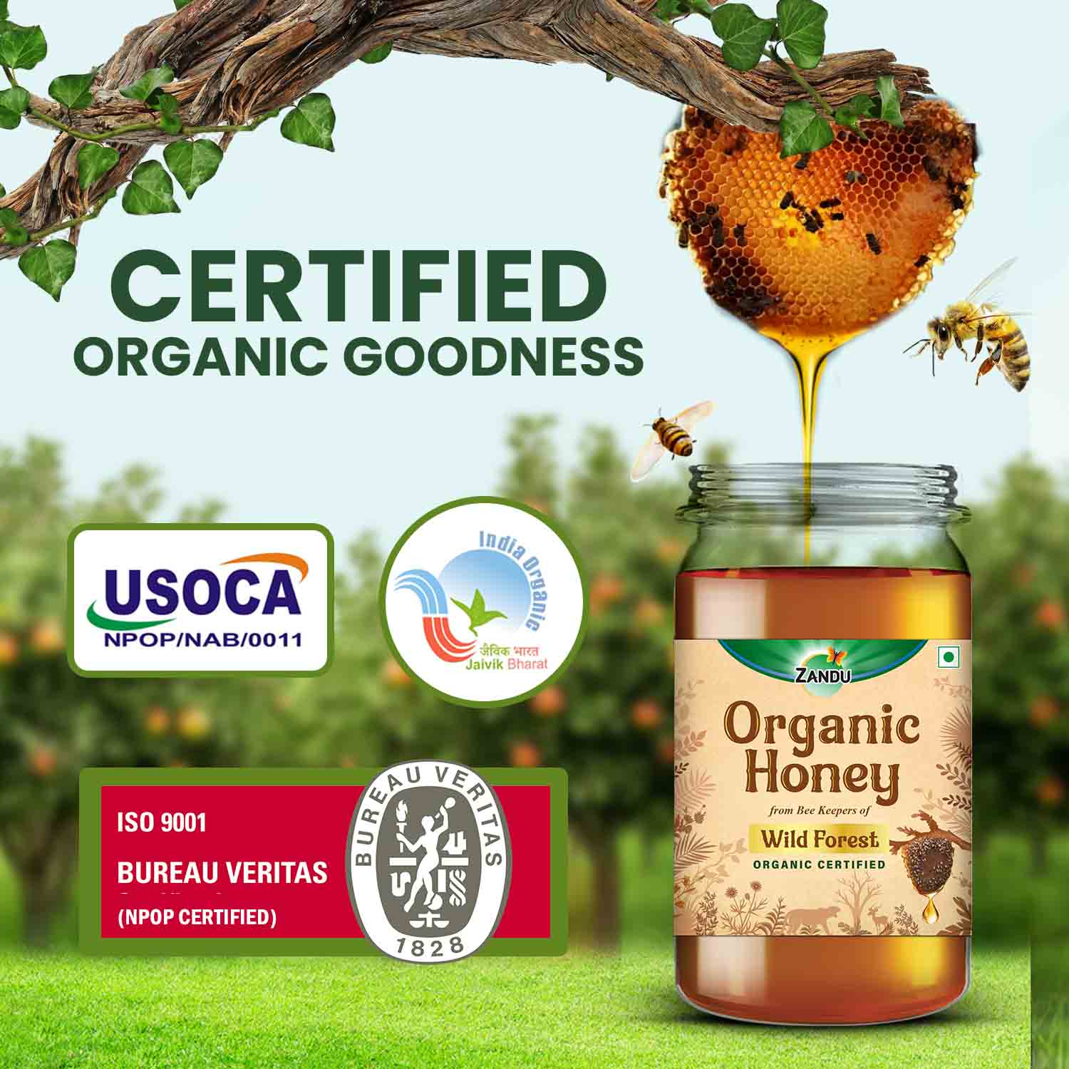 Zandu Organic Honey (Sourced from Wild Forests) - Image 3