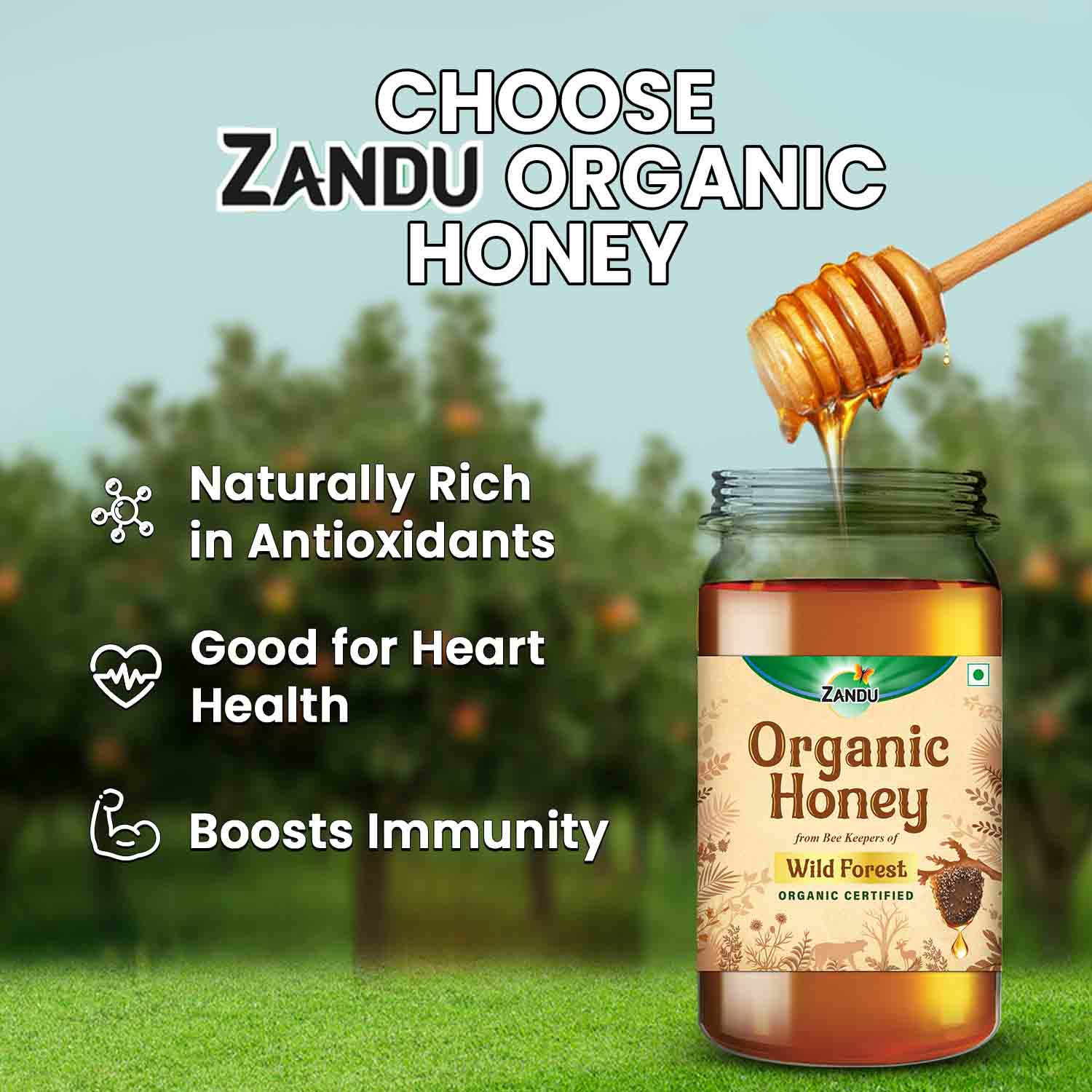 Zandu Organic Honey (Sourced from Wild Forests) - Image 4