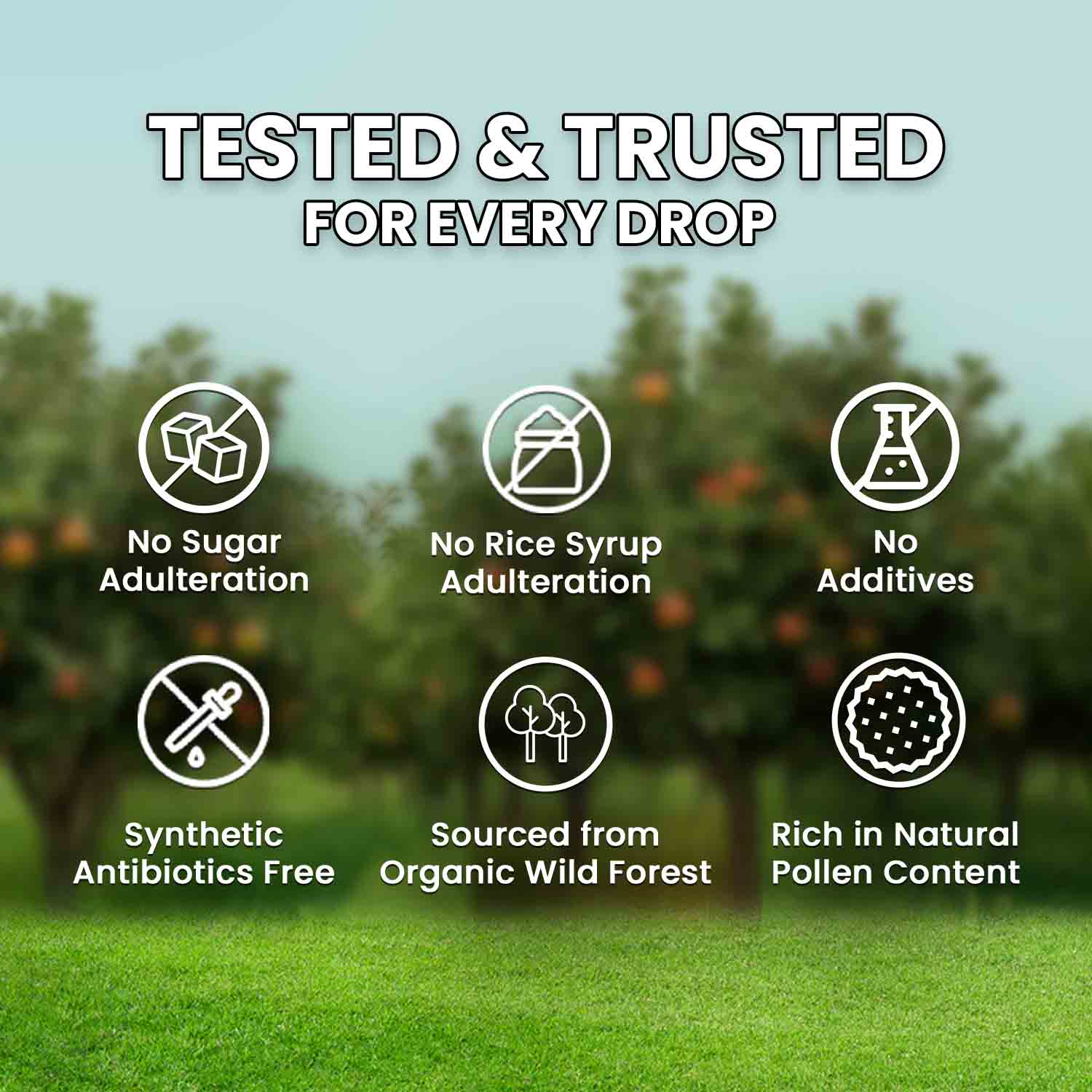 Zandu Organic Honey (Sourced from Wild Forests) - Image 6