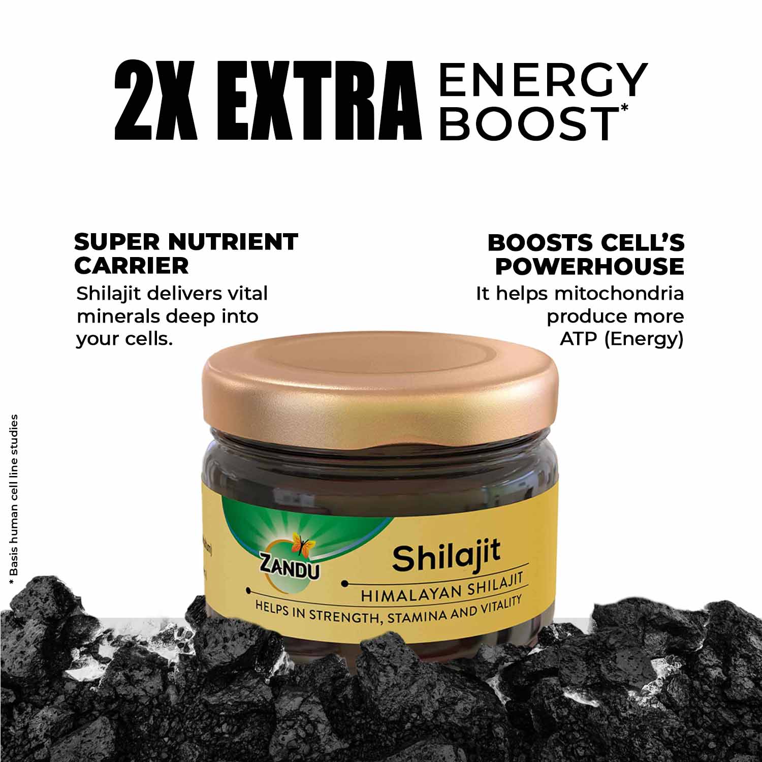 Zandu Himalayan Shilajit Resin - Image 3