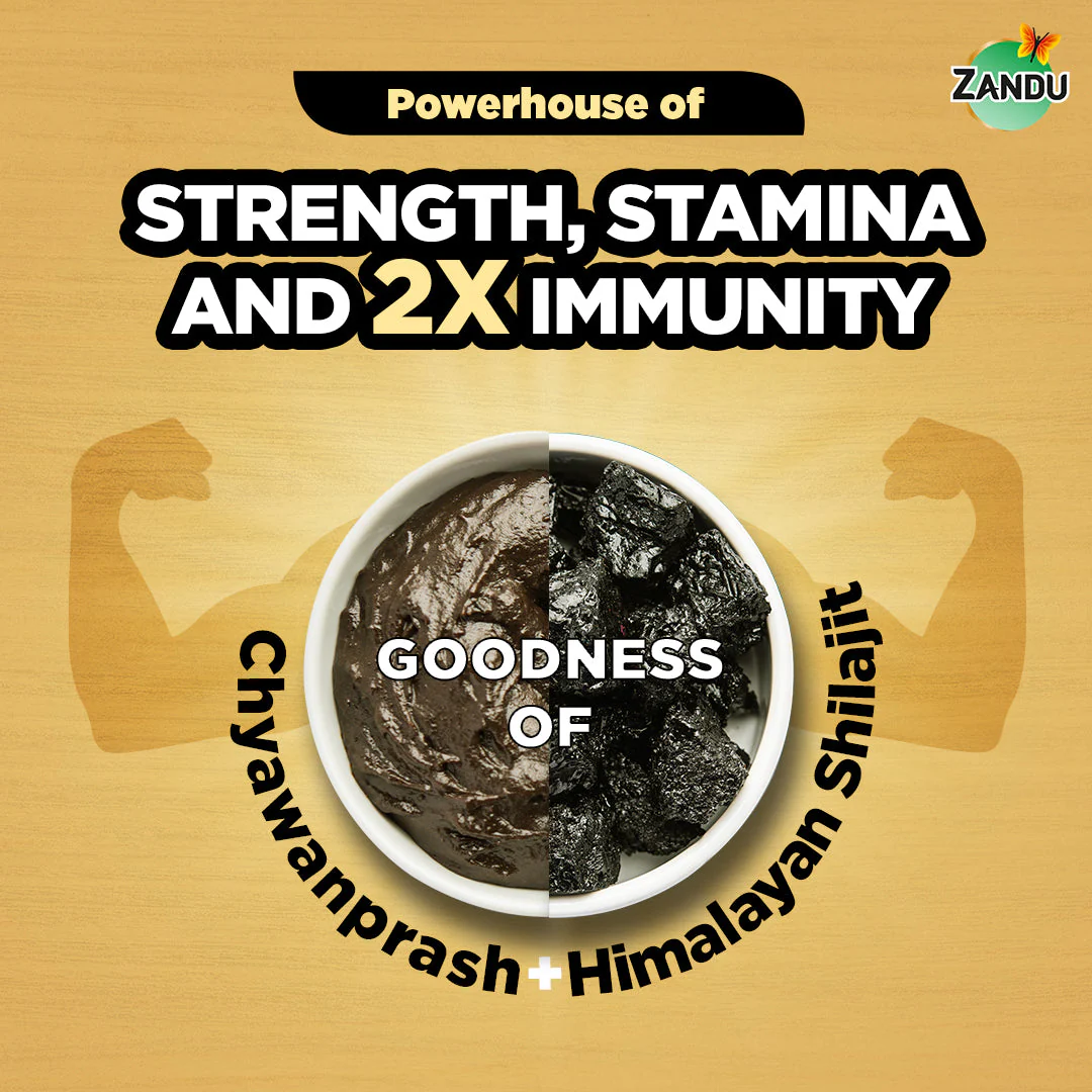 Zandu Shilajitprash for Strength (100g) - Image 4