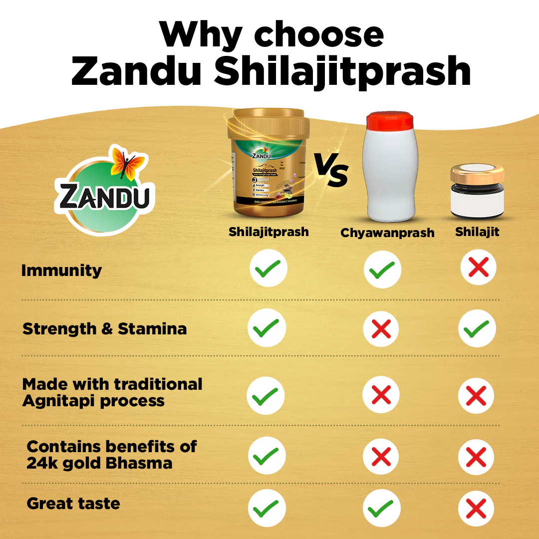Zandu Shilajitprash for Strength (100g) - Image 7