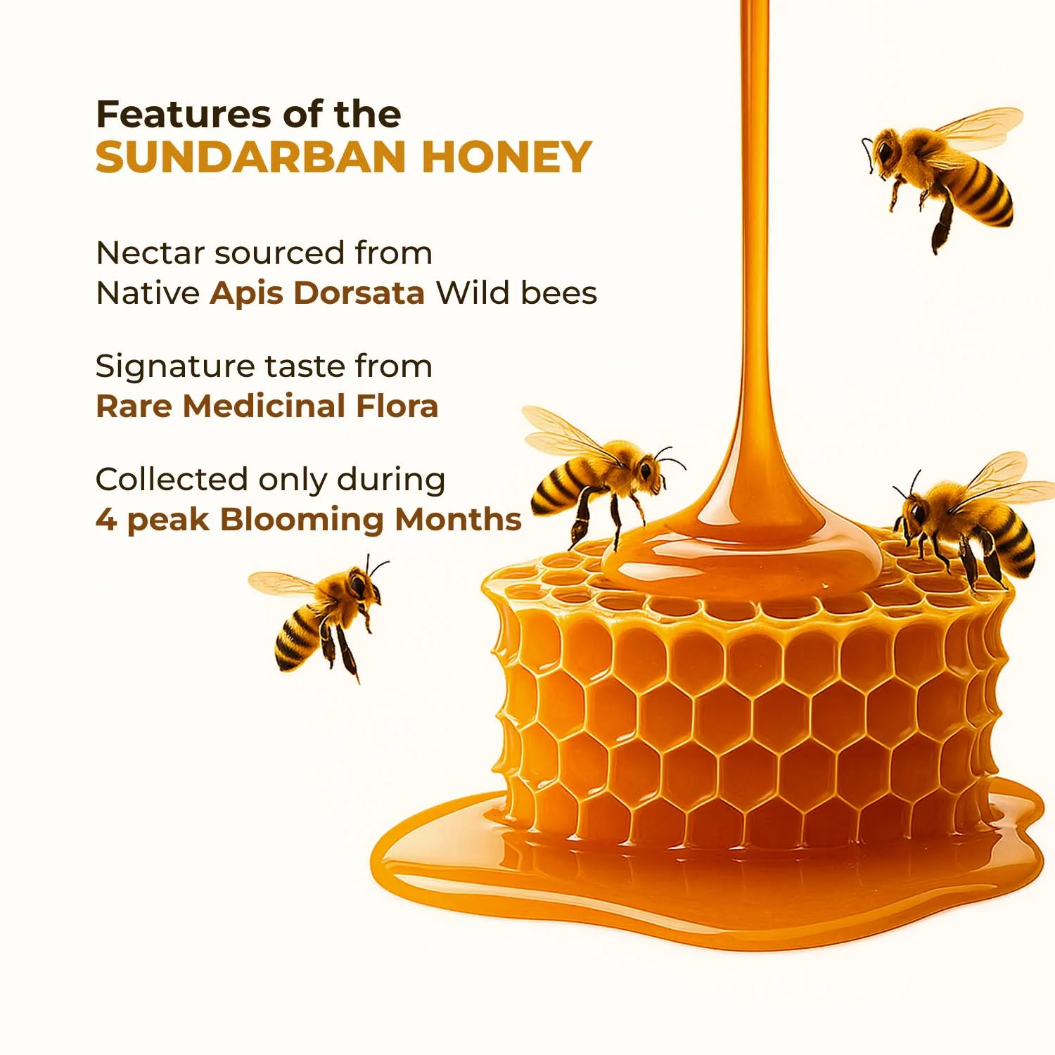 Zandu Sundarban Forest Honey - Image 3