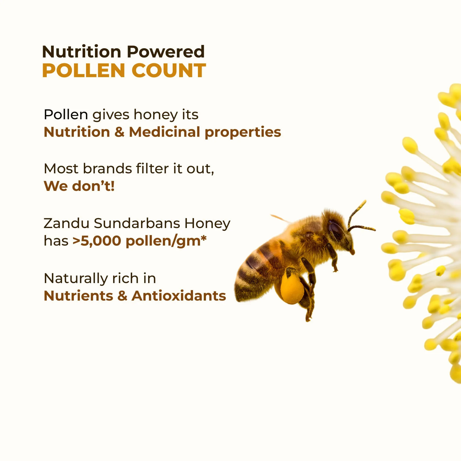 Zandu Sundarban Forest Honey - Image 4